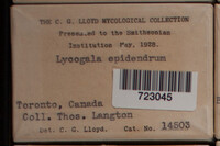 Image Associated With the Occurence